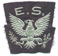 EagleSqn1a.JPG (27659 bytes)