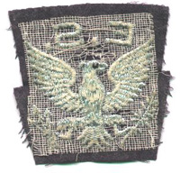 EagleSqn1b.JPG (31623 bytes)