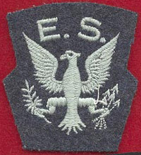 EagleSqn2a.JPG (29691 bytes)
