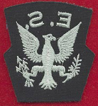 EagleSqn2b.JPG (25047 bytes)