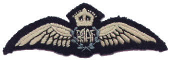 RAAFwing.gif (20672 bytes)