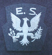 ESPatch.JPG (16732 bytes)