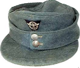 FHm43.gif (39427 bytes)